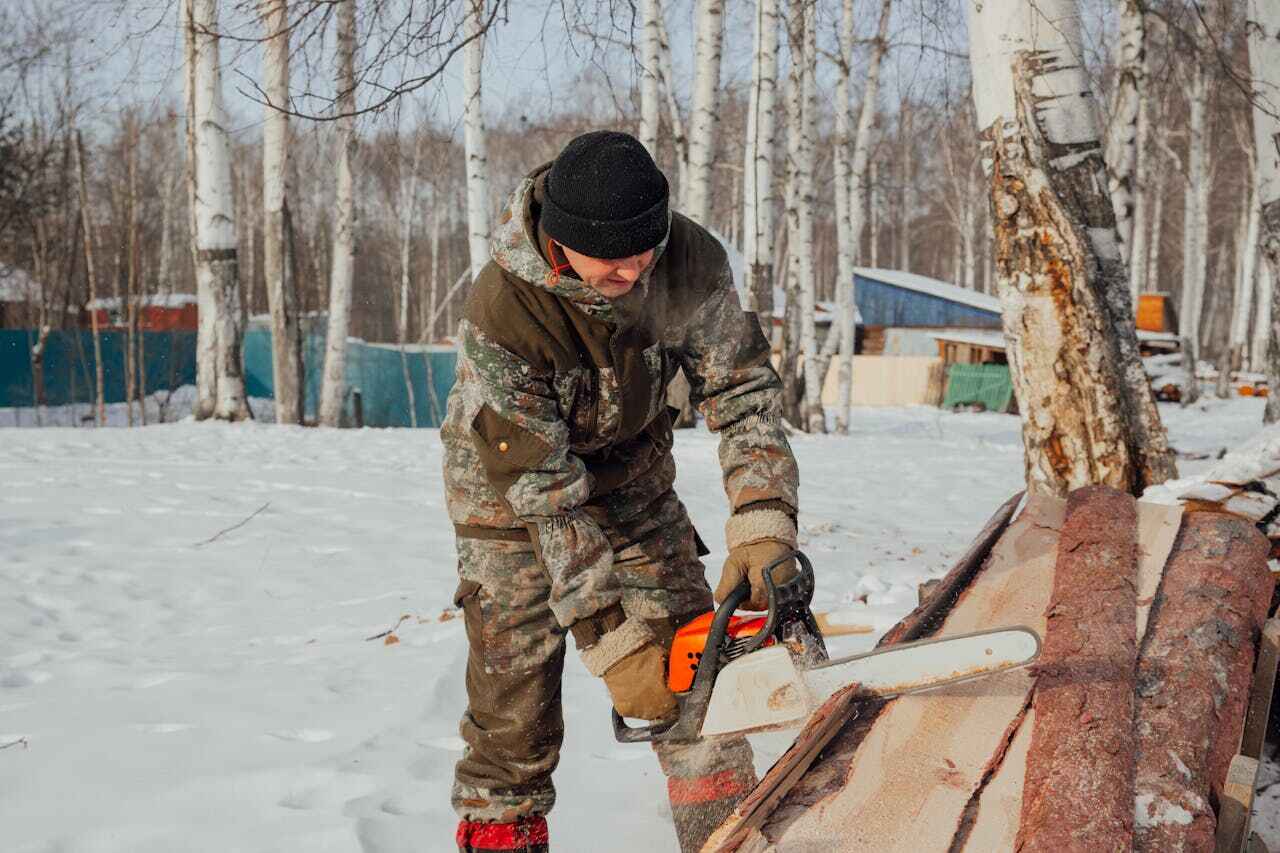 Dead Tree Removal in Marshfield, MO